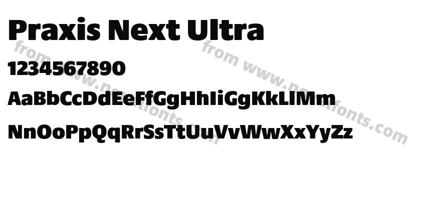 Praxis Next UltraPreview