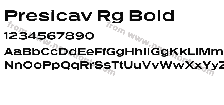 Presicav Rg BoldPreview
