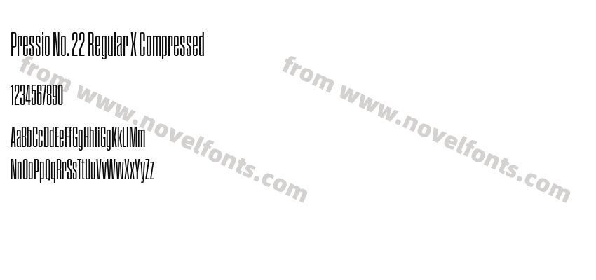 Pressio No. 22 Regular X CompressedPreview