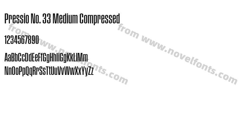 Pressio No. 33 Medium CompressedPreview