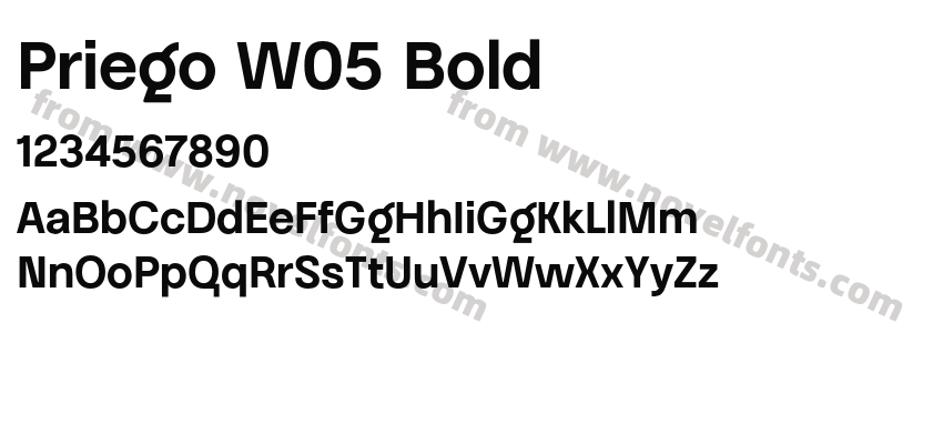 Priego W05 BoldPreview