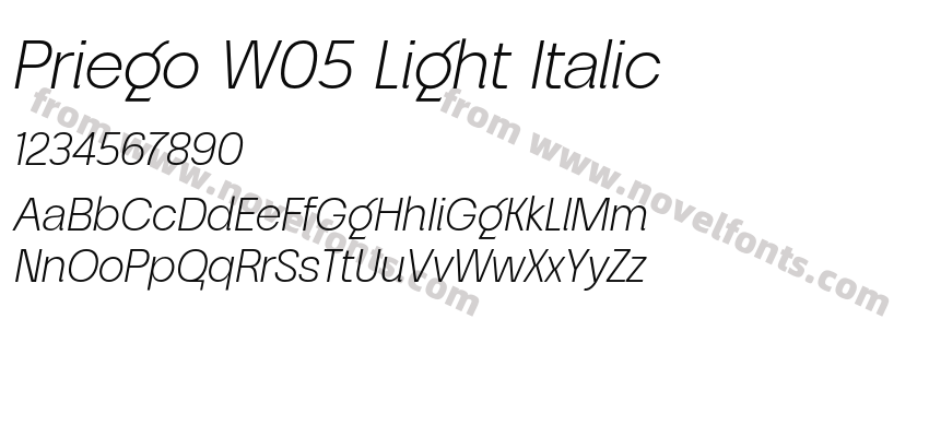 Priego W05 Light ItalicPreview