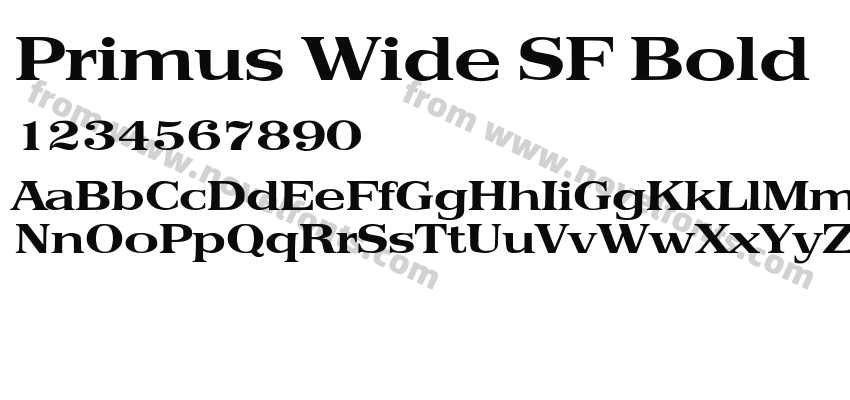 Primus Wide SF BoldPreview