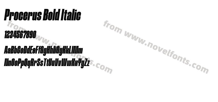 Procerus Bold ItalicPreview