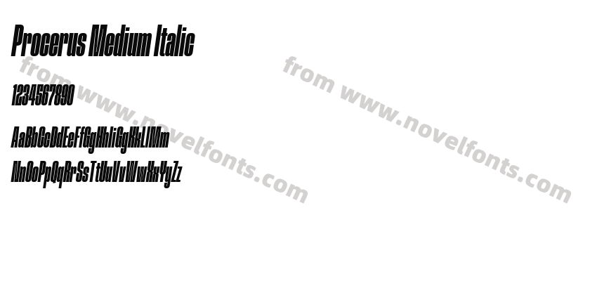 Procerus Medium ItalicPreview