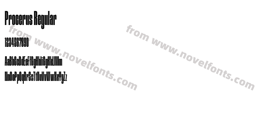Procerus RegularPreview