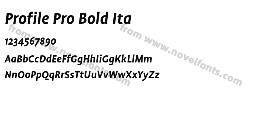 Profile Pro Bold ItaPreview