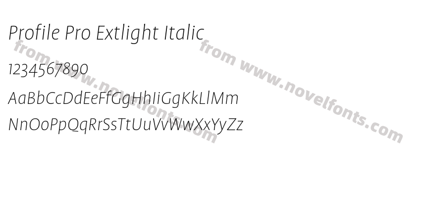 Profile Pro Extlight ItalicPreview