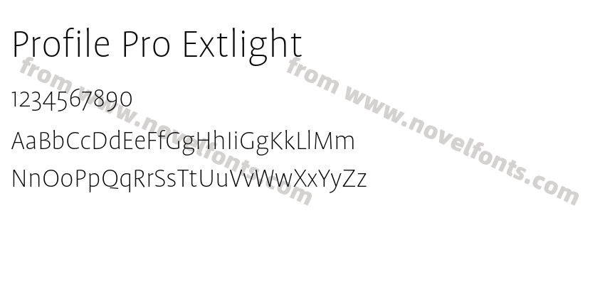Profile Pro ExtlightPreview