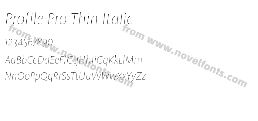 Profile Pro Thin ItalicPreview
