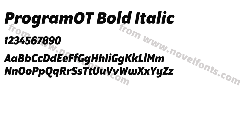 ProgramOT Bold ItalicPreview