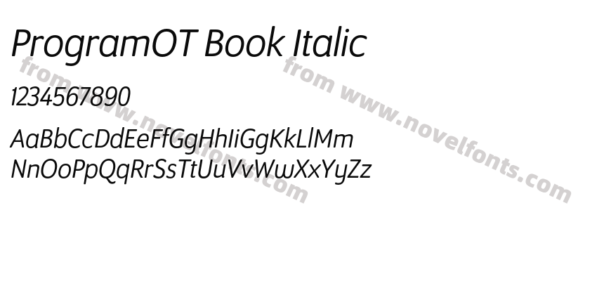 ProgramOT Book ItalicPreview
