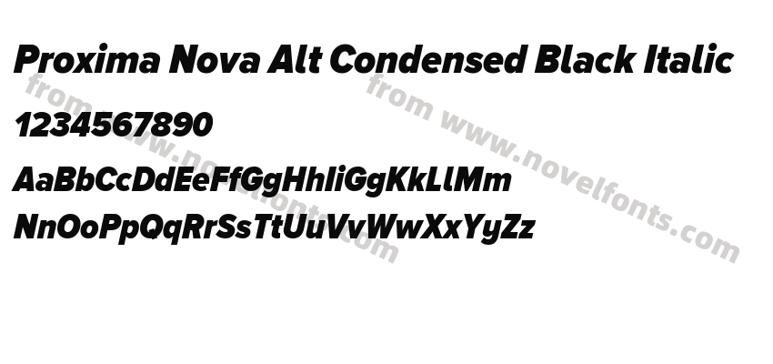 Proxima Nova Alt Condensed Black ItalicPreview