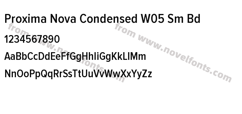 Proxima Nova Condensed W05 Sm BdPreview