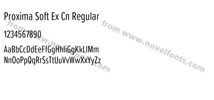 Proxima Soft Ex Cn RegularPreview