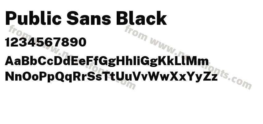 Public Sans BlackPreview