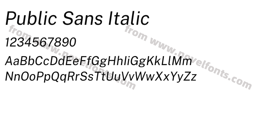 Public Sans ItalicPreview