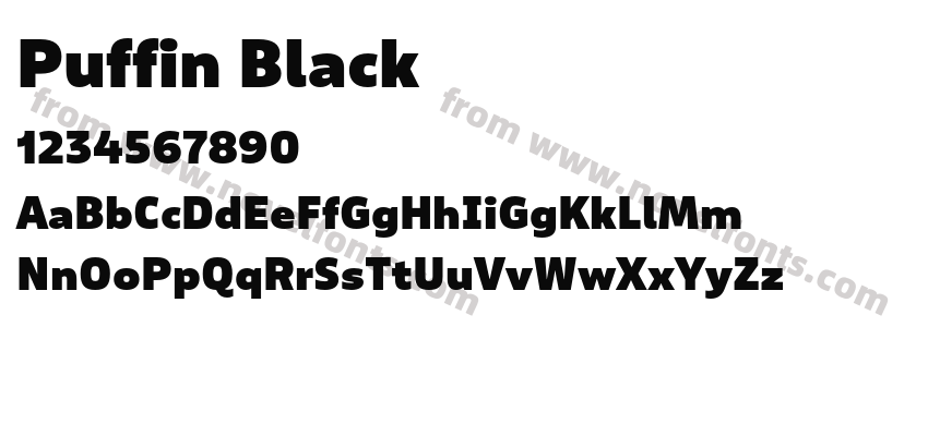 Puffin BlackPreview