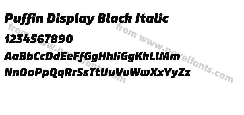 Puffin Display Black ItalicPreview