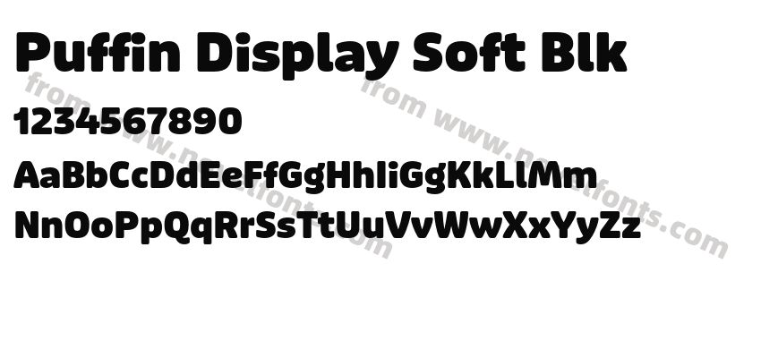 Puffin Display Soft BlkPreview