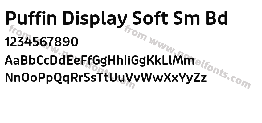 Puffin Display Soft Sm BdPreview