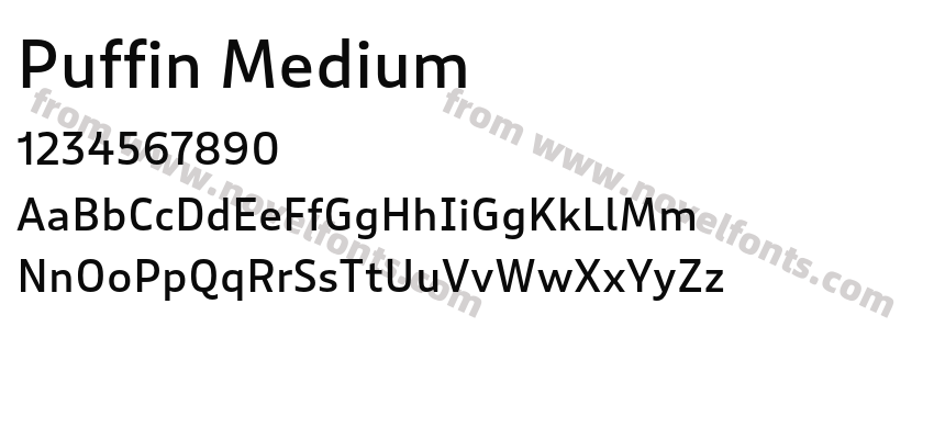 Puffin MediumPreview