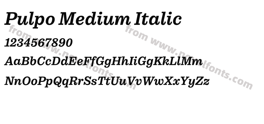 Pulpo Medium ItalicPreview