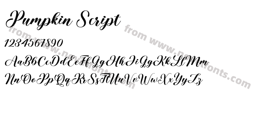 Pumpkin ScriptPreview