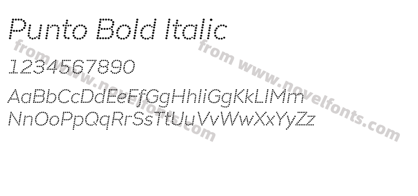 Punto Bold ItalicPreview
