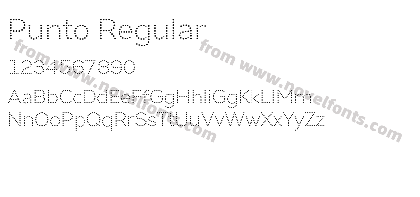 Punto RegularPreview