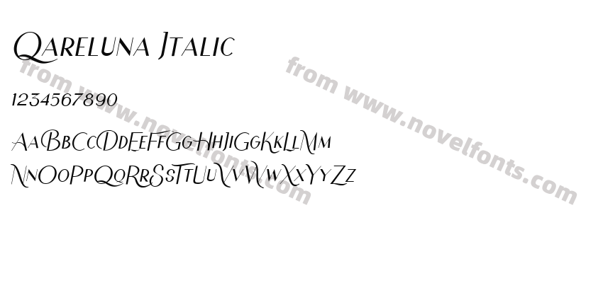 Qareluna ItalicPreview