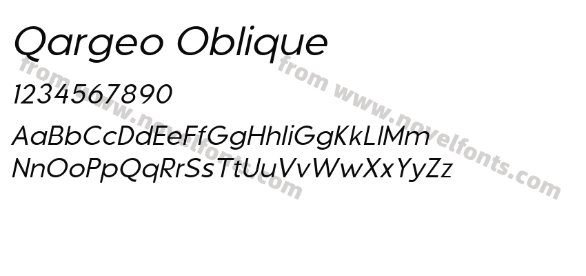 Qargeo ObliquePreview