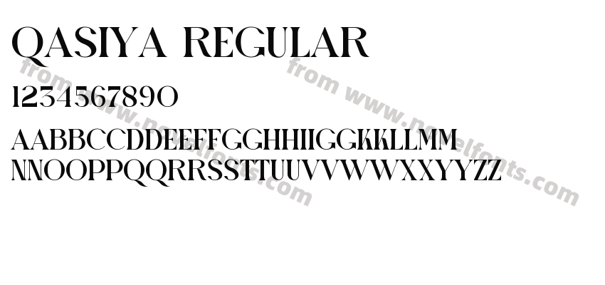 Qasiya RegularPreview