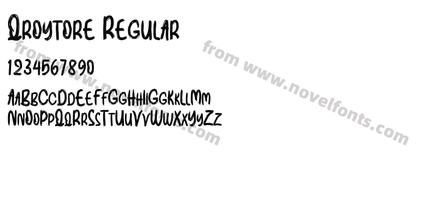 Qroytore RegularPreview