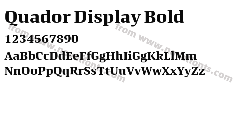 Quador Display BoldPreview