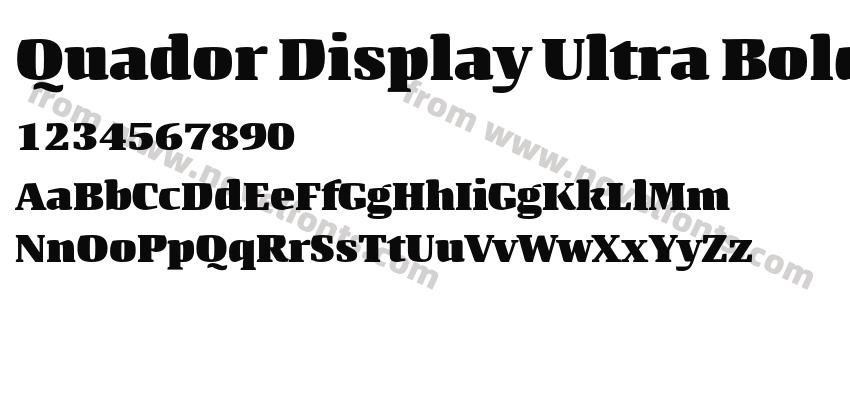 Quador Display Ultra BoldPreview