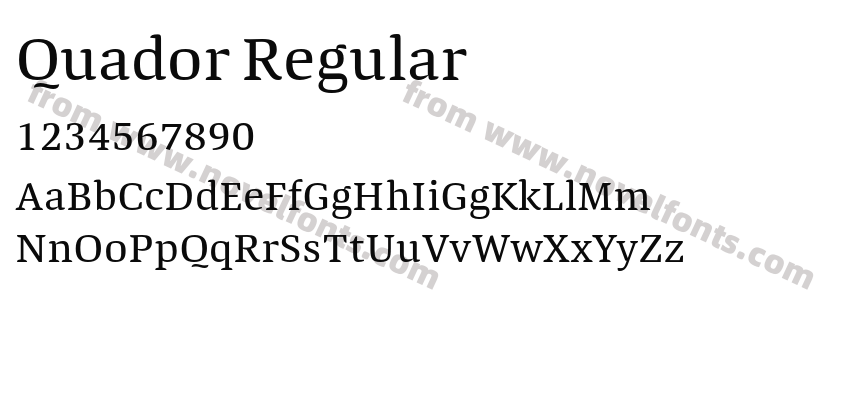 Quador RegularPreview