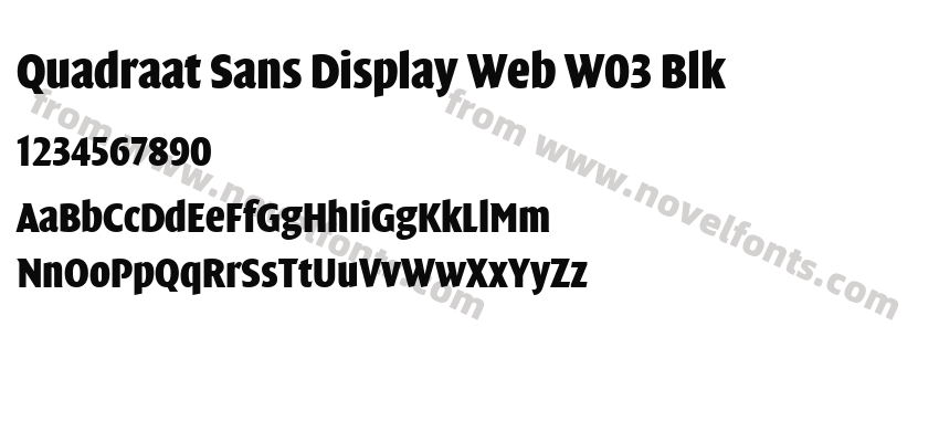 Quadraat Sans Display Web W03 BlkPreview