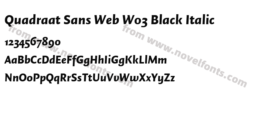 Quadraat Sans Web W03 Black ItalicPreview