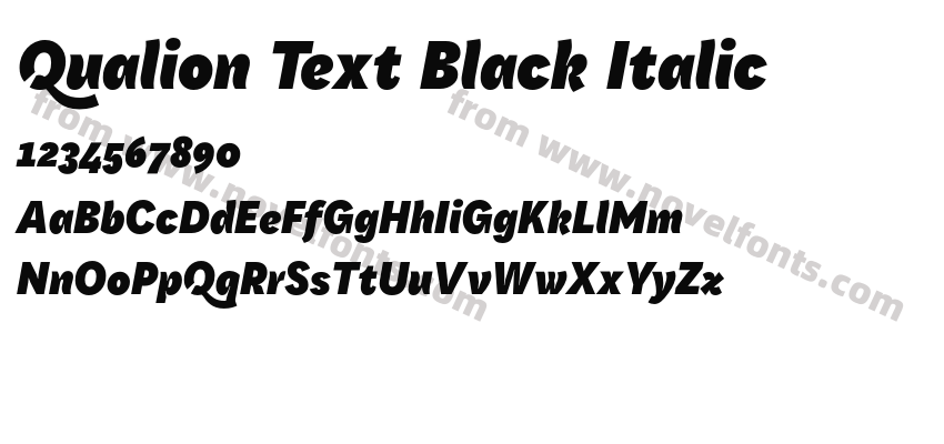 Qualion Text Black ItalicPreview