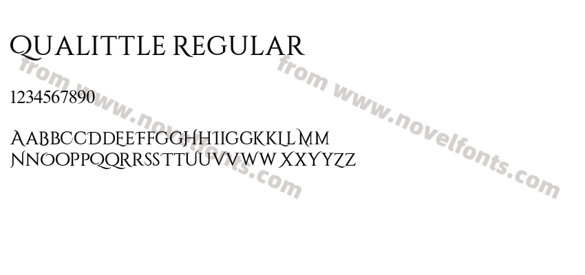 Qualittle RegularPreview