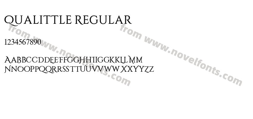 Qualittle RegularPreview