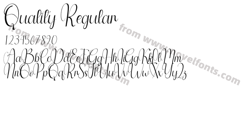 Quality RegularPreview