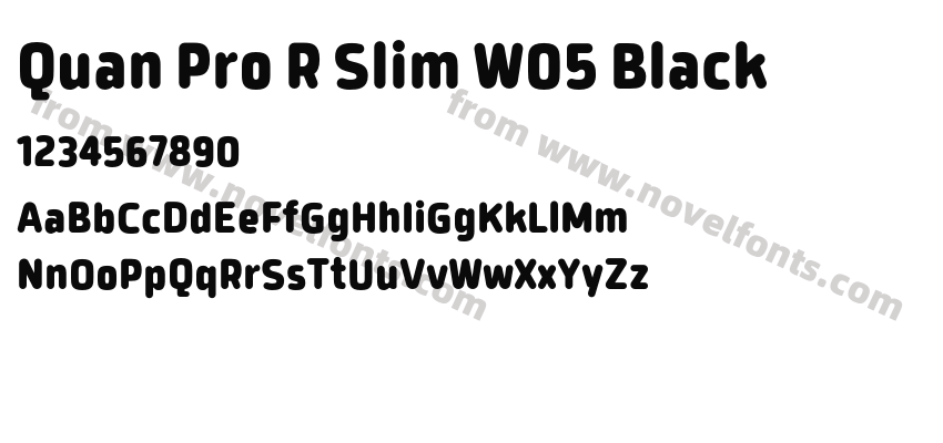Quan Pro R Slim W05 BlackPreview