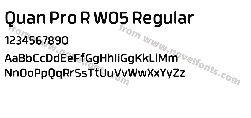 Quan Pro R W05 RegularPreview