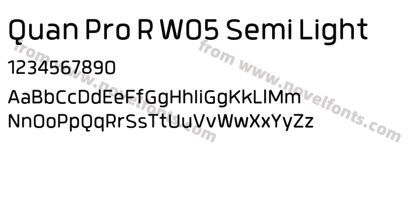 Quan Pro R W05 Semi LightPreview