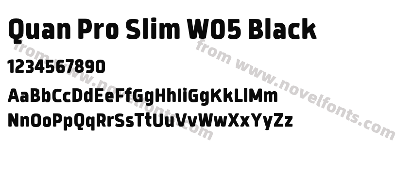 Quan Pro Slim W05 BlackPreview