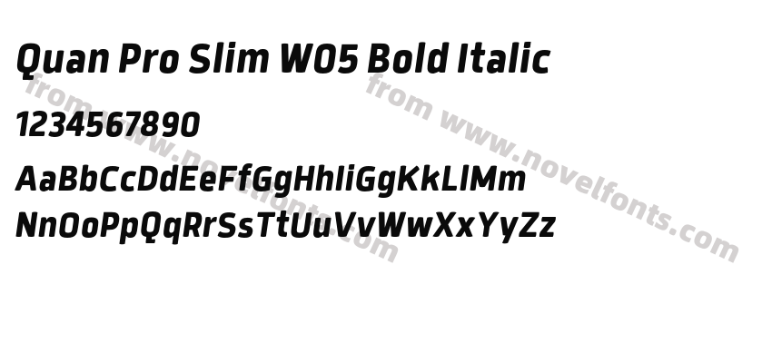Quan Pro Slim W05 Bold ItalicPreview