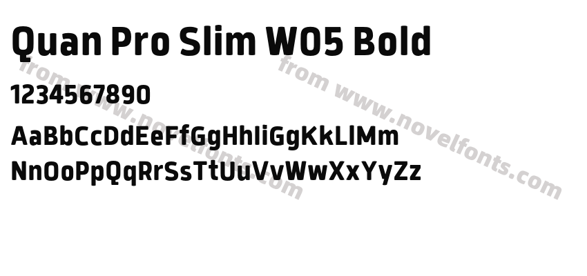 Quan Pro Slim W05 BoldPreview