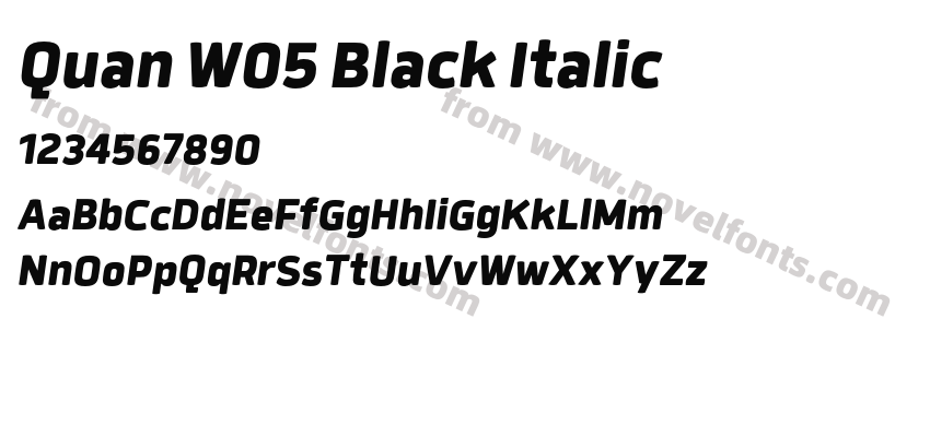 Quan W05 Black ItalicPreview
